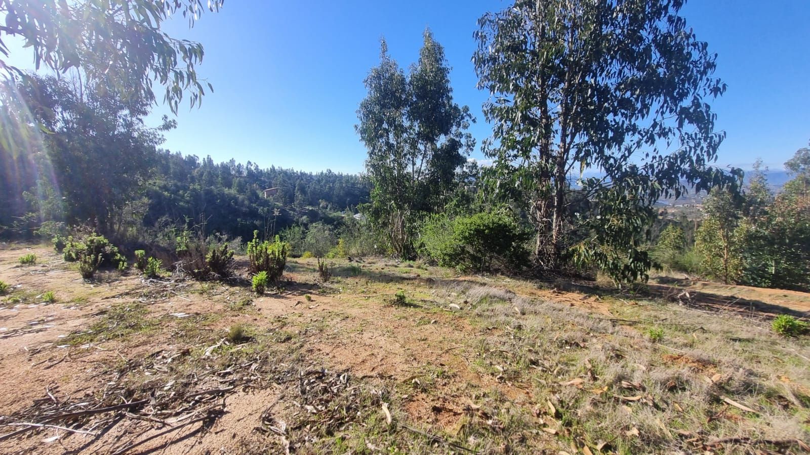 Parcela de 5.000 m² en Venta en Valle Verde Mar – Limache